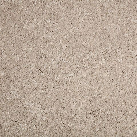 Why You Need To Reconsider Wall Carpet The Home Depot Flooring A Z - What Happened To Home Decorators Collection