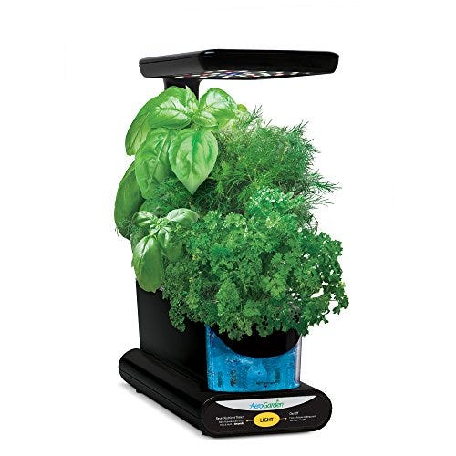Sprout LED 