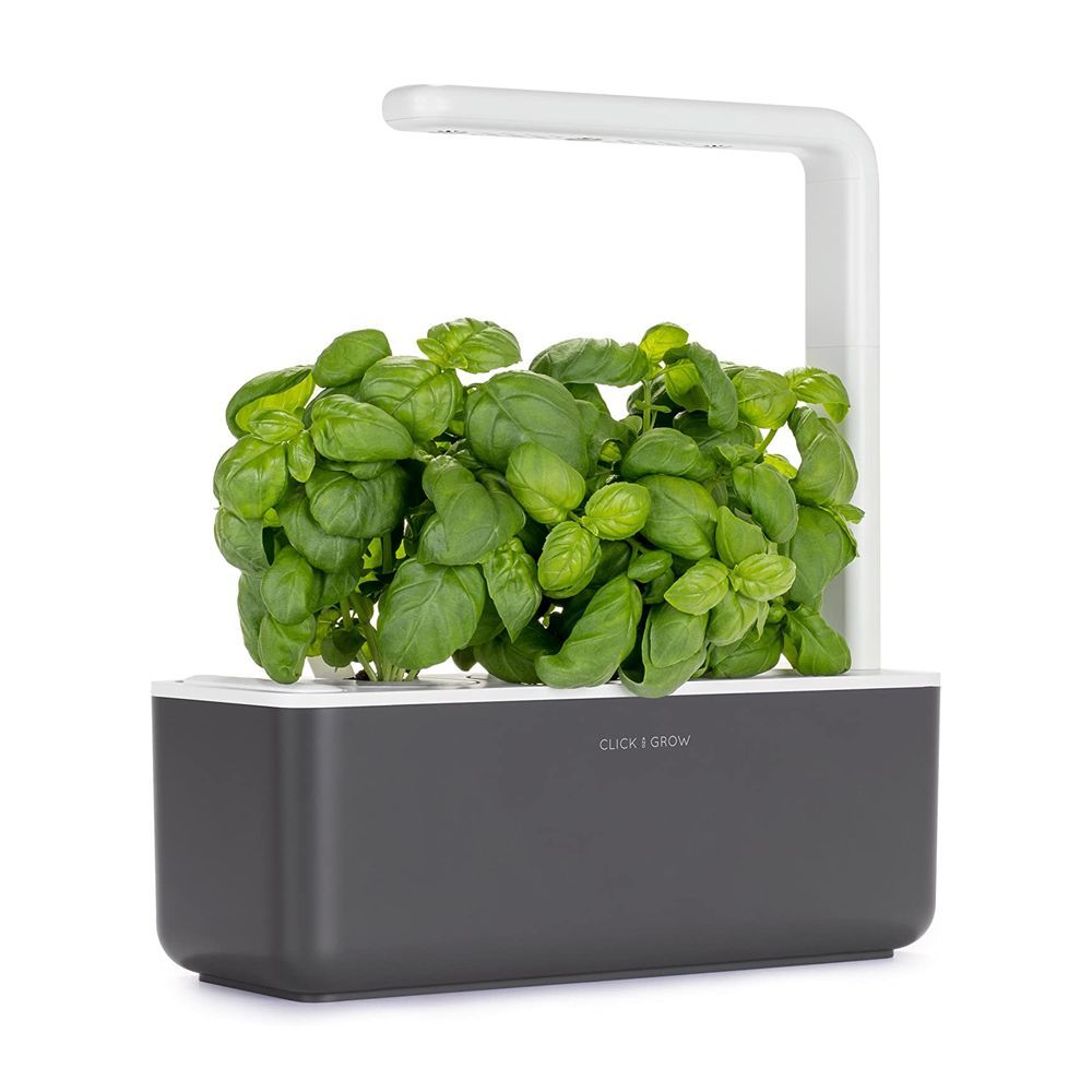 Click Grow Smart Planter Review Best Smart Indoor Garden