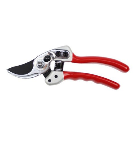 Best secateurs for your garden jobs