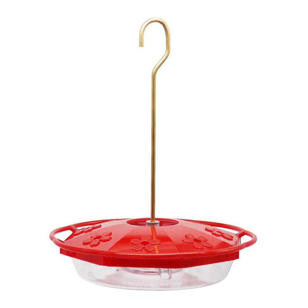 10 Best Hummingbird Feeders for 2020 - Dish & Bottle Hummingbird Feeders