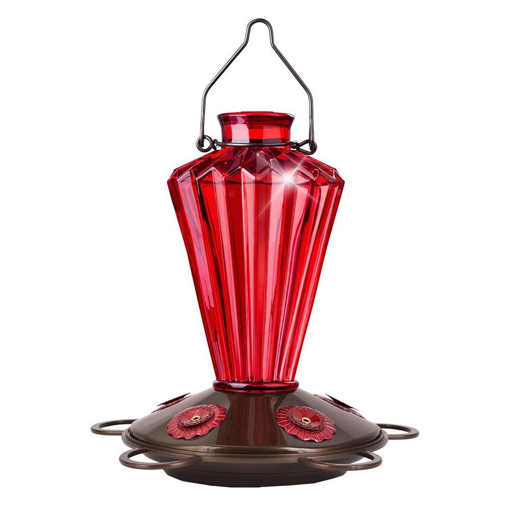 10 Best Hummingbird Feeders for 2020 - Dish & Bottle Hummingbird Feeders