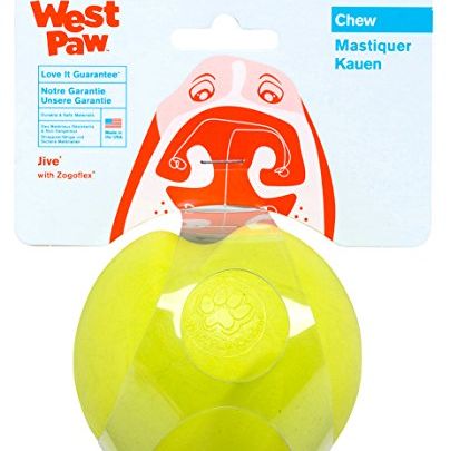 West Paw Design Zogoflex Jive Dog Toy