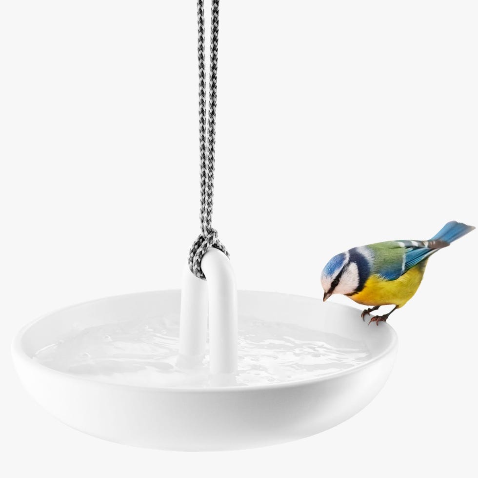 Eva Solo Hanging Bird Bath