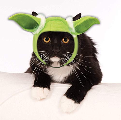 Best Cat Halloween Costumes 2020 - 22 Creative Cat Halloween Costume Ideas