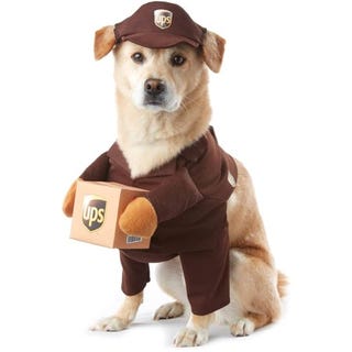 Is Walmart Open On Halloween 2020 Walmart Halloween Hours