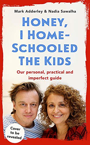 Honey, I Homeschooled the Kids: Our personal, practical and imperfect guide