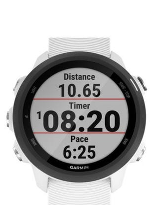 forerunner 245 running dynamics