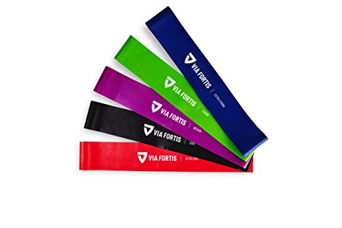 Gomas elasticas Fitness Conjunto de 5 Bandas