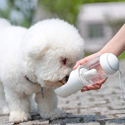 Dispensador de agua portátil