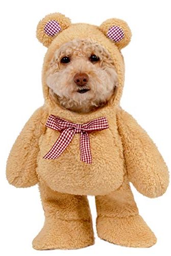 Teddy Bear Suit
