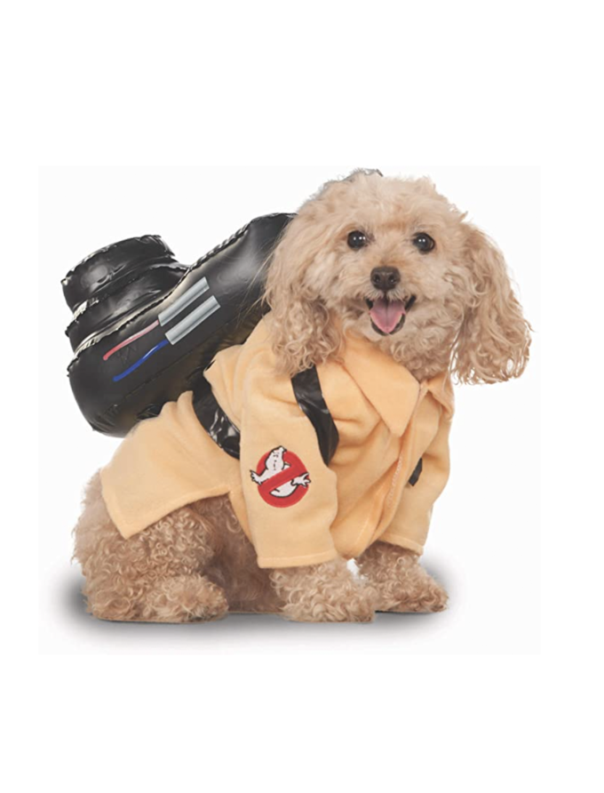35 Best Dog Costumes For Halloween 2020 Cute Funny Halloween
