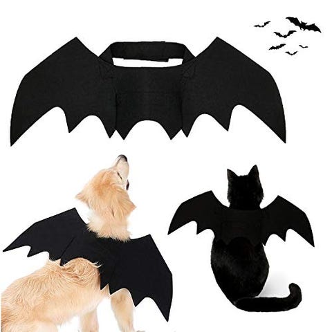 Bat Costume for Pets