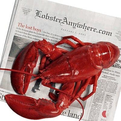 Live Lobster