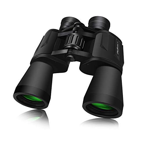 Good binoculars for wildlife hot sale viewing