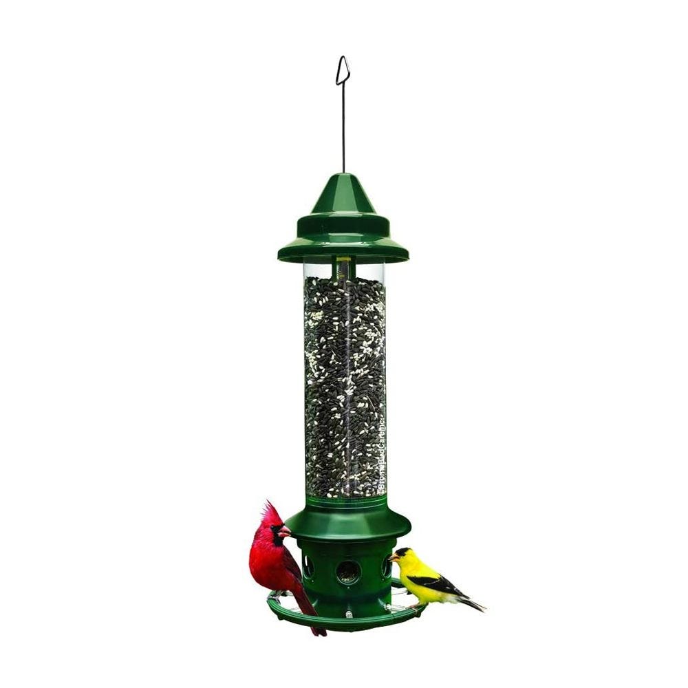 8 Best Bird Feeders - Unique Bird Feeders