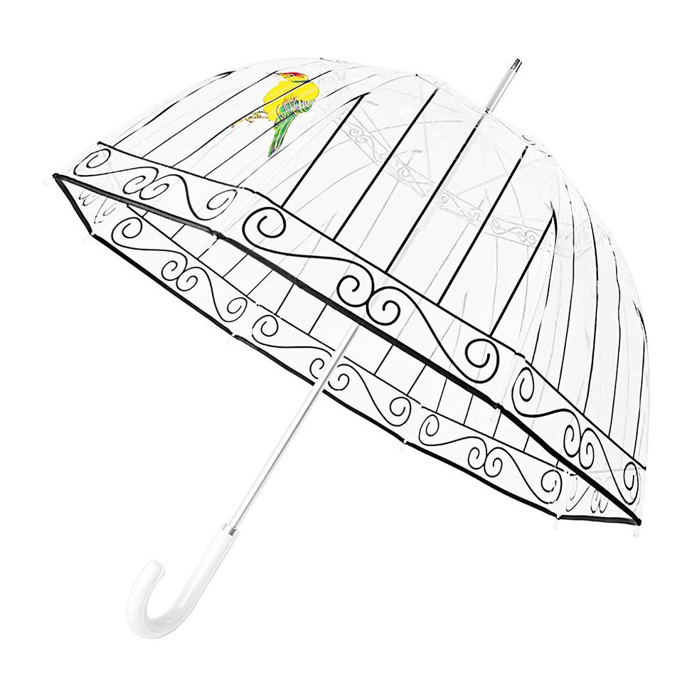 Maryland: The Umbrella