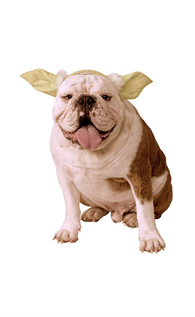 newborn dog costume