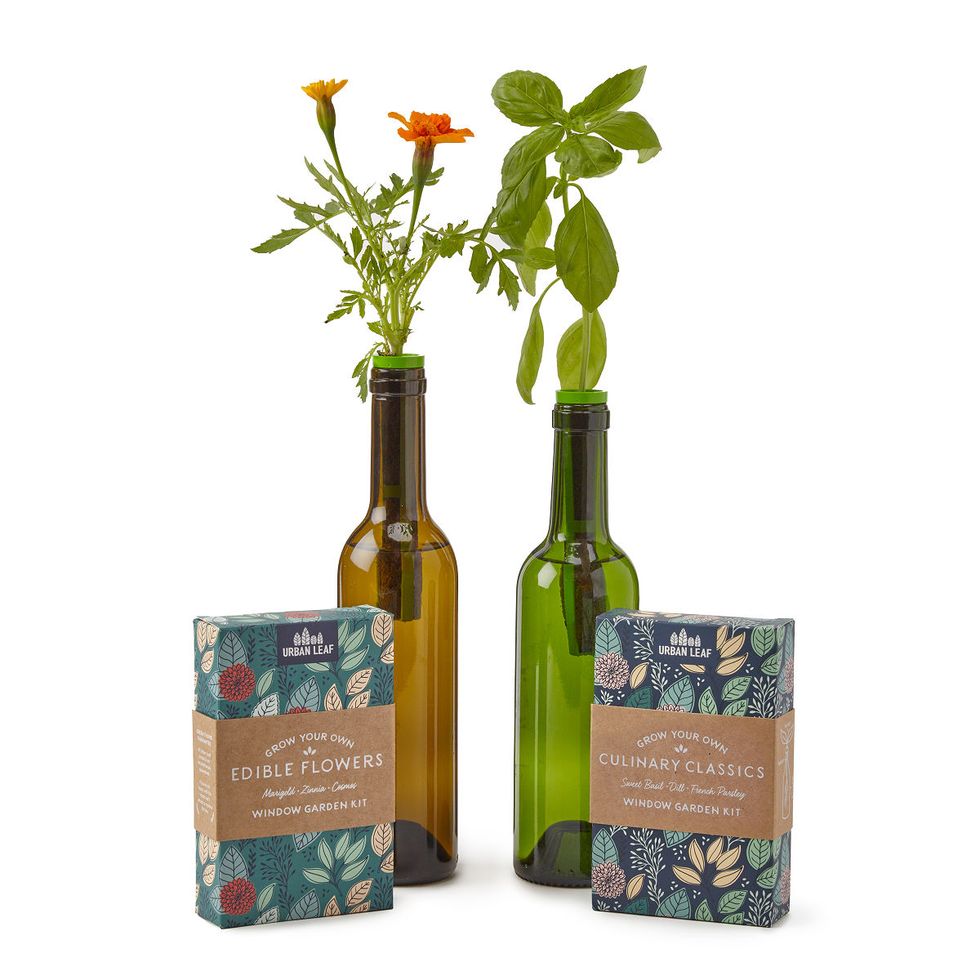 Urban Leaf Bottle Stopper Garden Kit