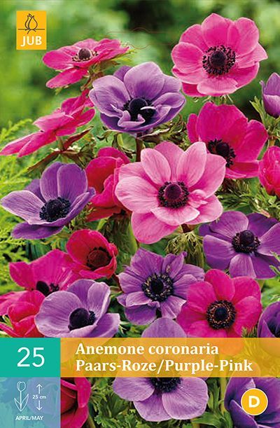 Where To Plants Online During Coronavirus Lockdown Where To Plants Online During