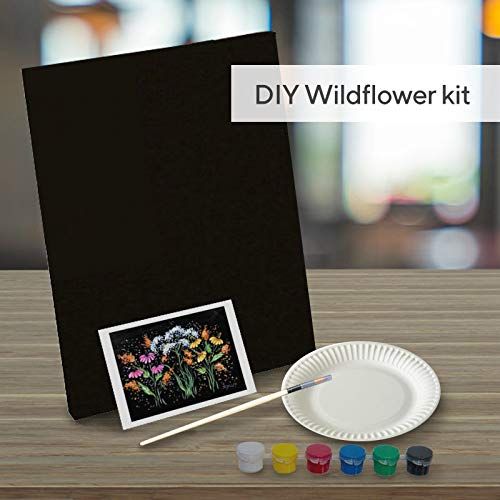 Wildflower Paint Kit