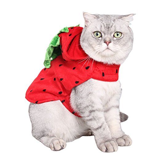 cat collar costume