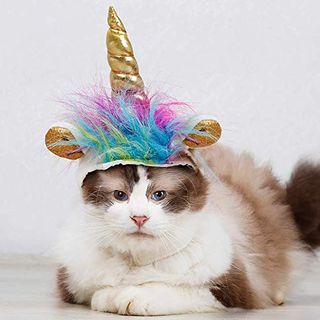 Pet Unicorn Hat