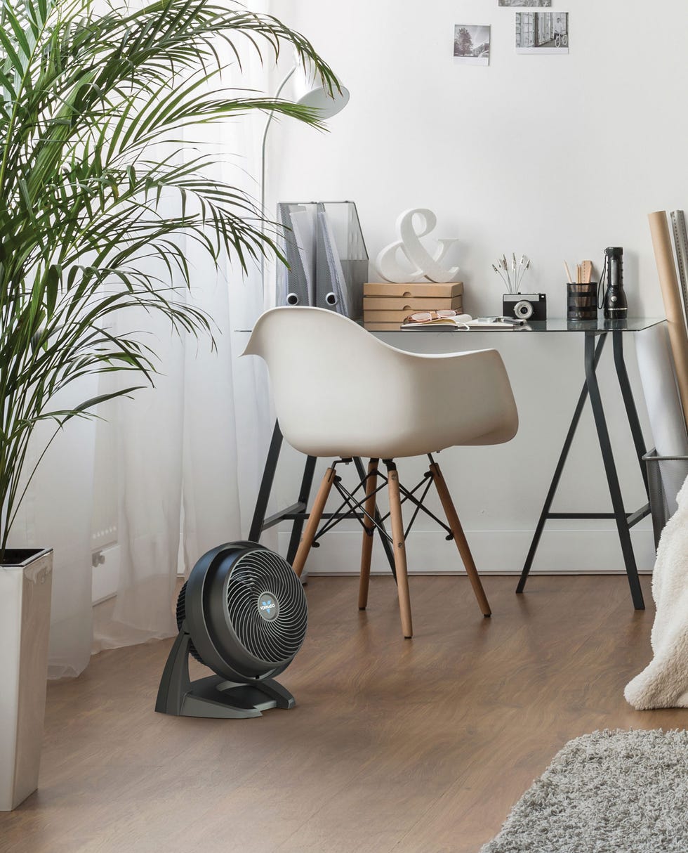 630 Medium Air Circulator