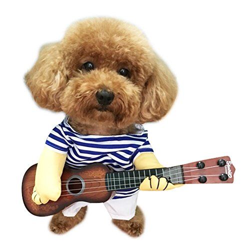 toy poodle halloween costume