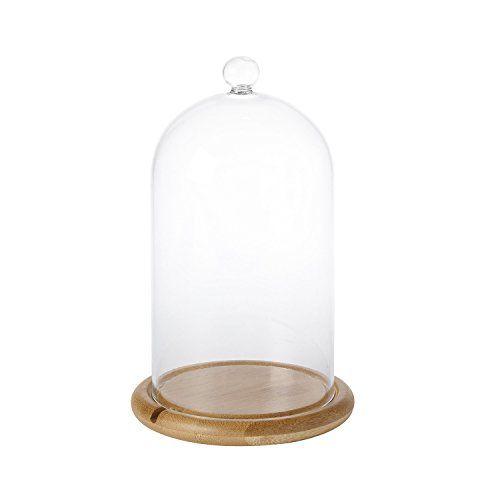 Glass Cloche Bell Jar 