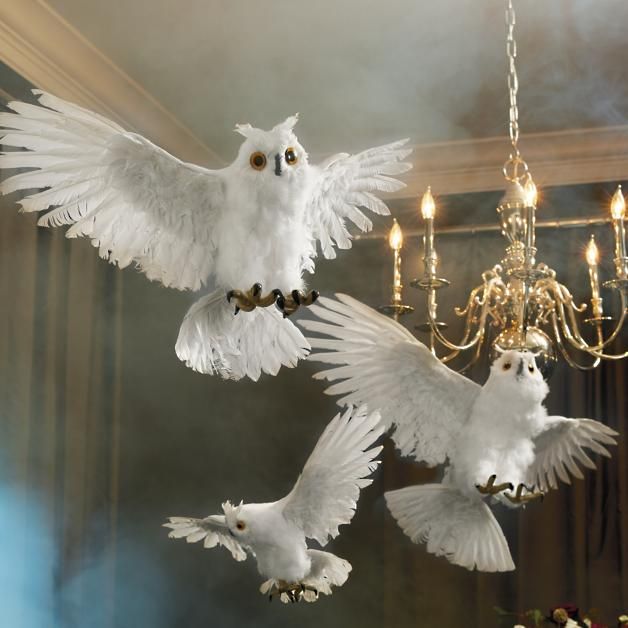 Flying White Owls