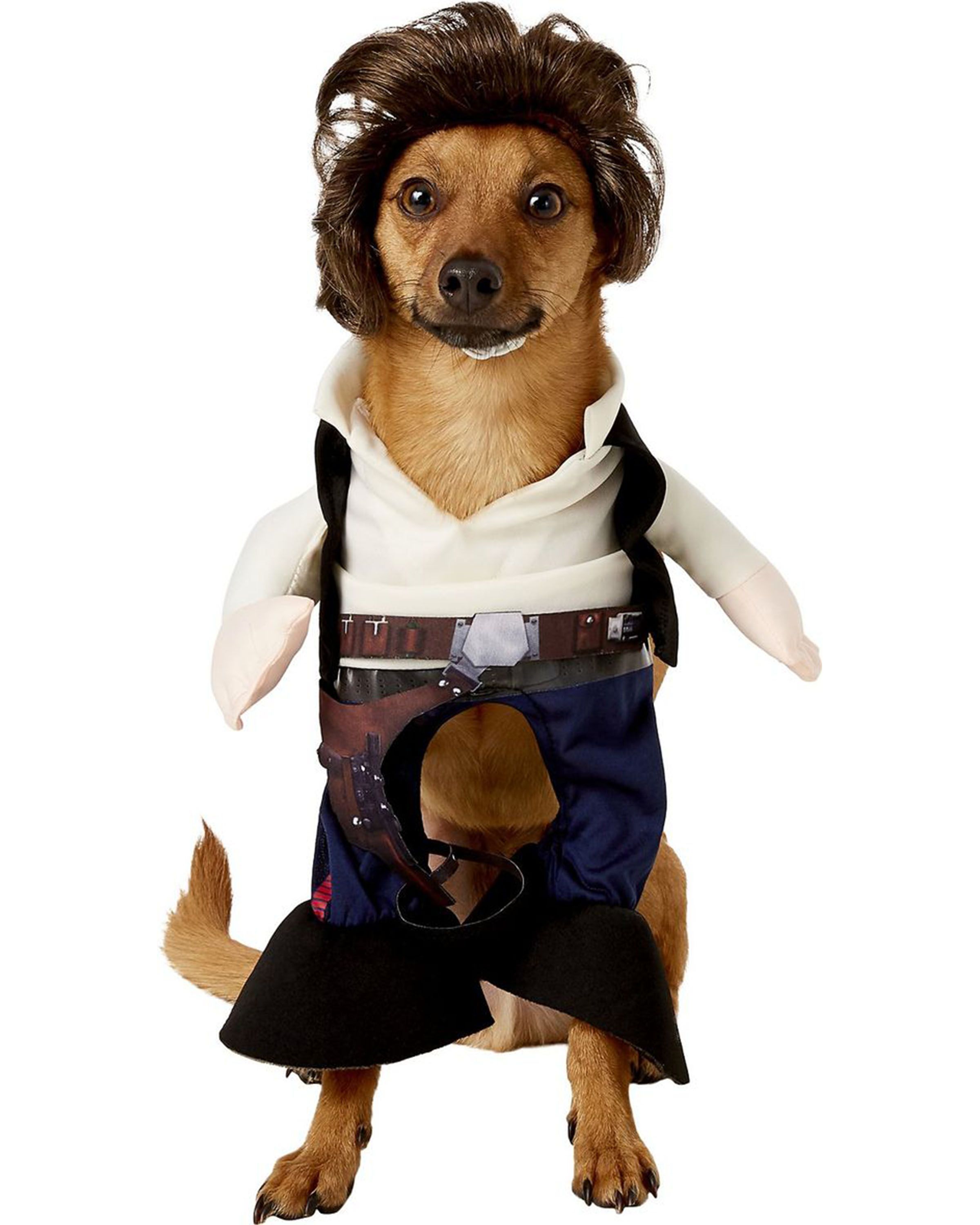 34 Best Halloween Costumes For Dogs