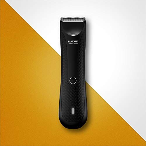 best trimmer for penis