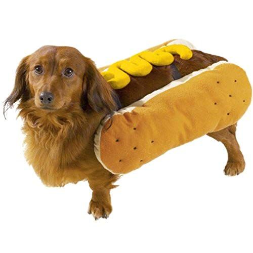 Hot Diggity Dog Costume