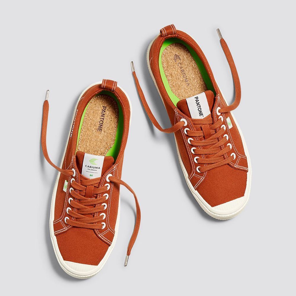 Picante Low Sneakers
