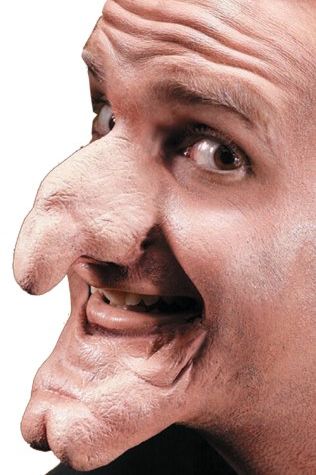 Large Witch Chin Prosthetic
