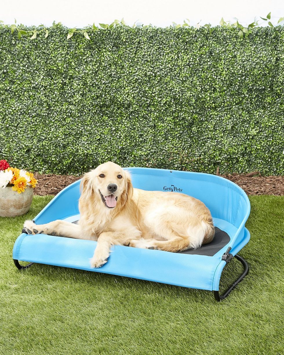 Cooling Elevated Dog Bed