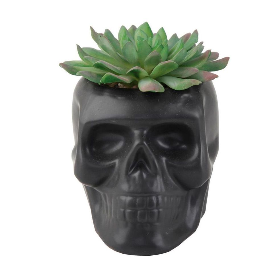 Black Matte Ceramic Skull Succulent