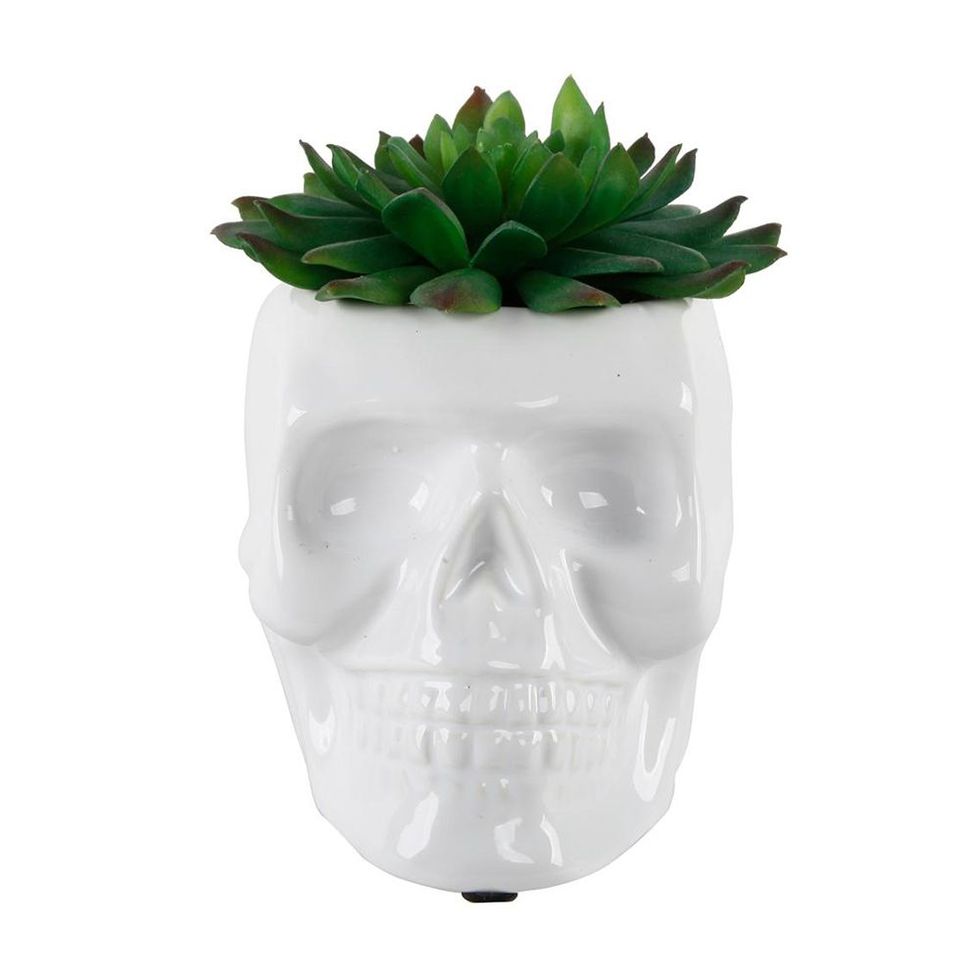 White Ceramic Skull Succulent