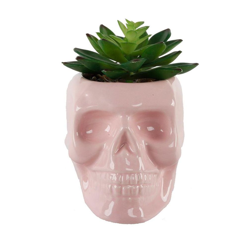 Pink Ceramic Skull Succulent