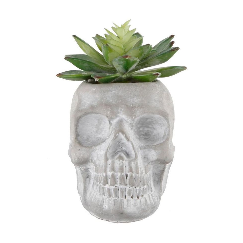Gray Cement Skull Succulent