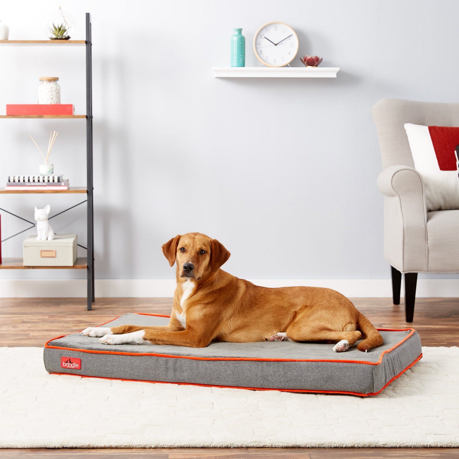 Brindle dog bed outlet review