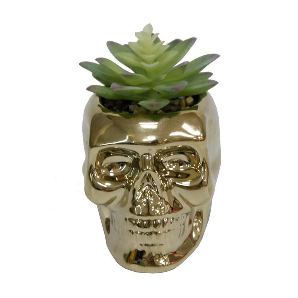 These Sugar Skull Succulents Need to Be Part of Your Halloween Decor