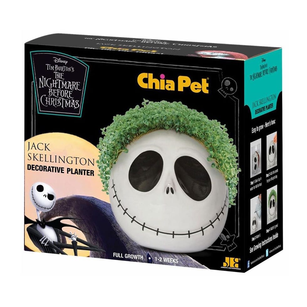 Jack Skellington Chia Pet