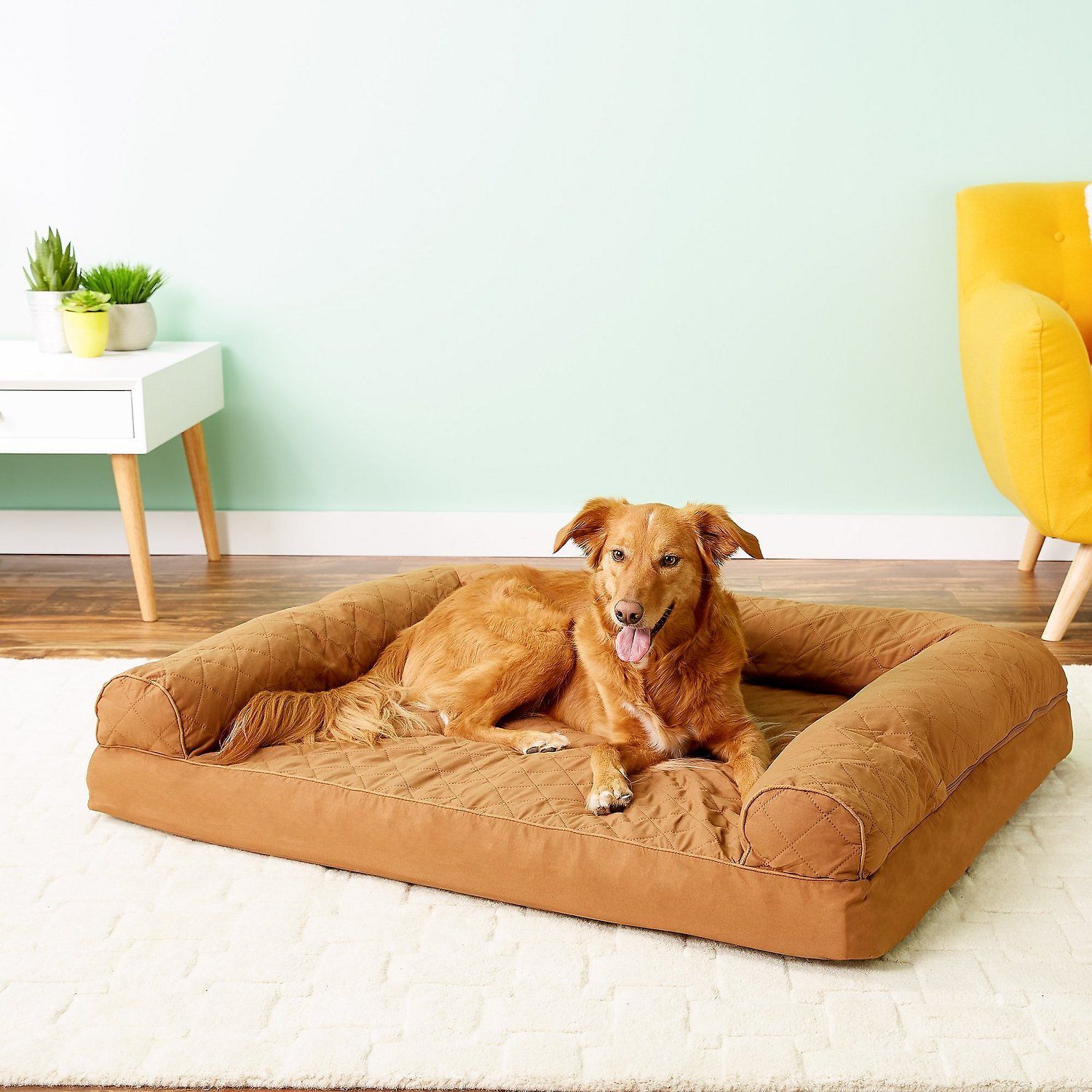 chewy orthopedic dog bed