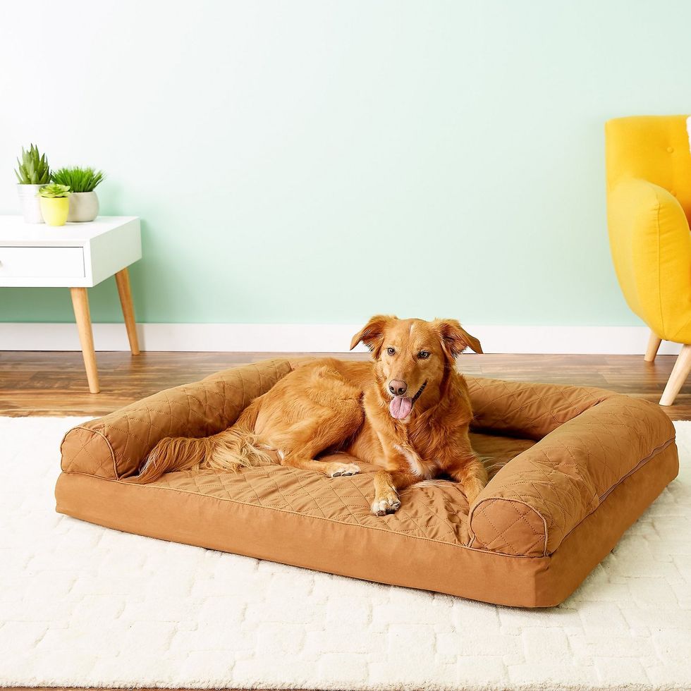 FurHaven Quilted Cat & Dog Bed 