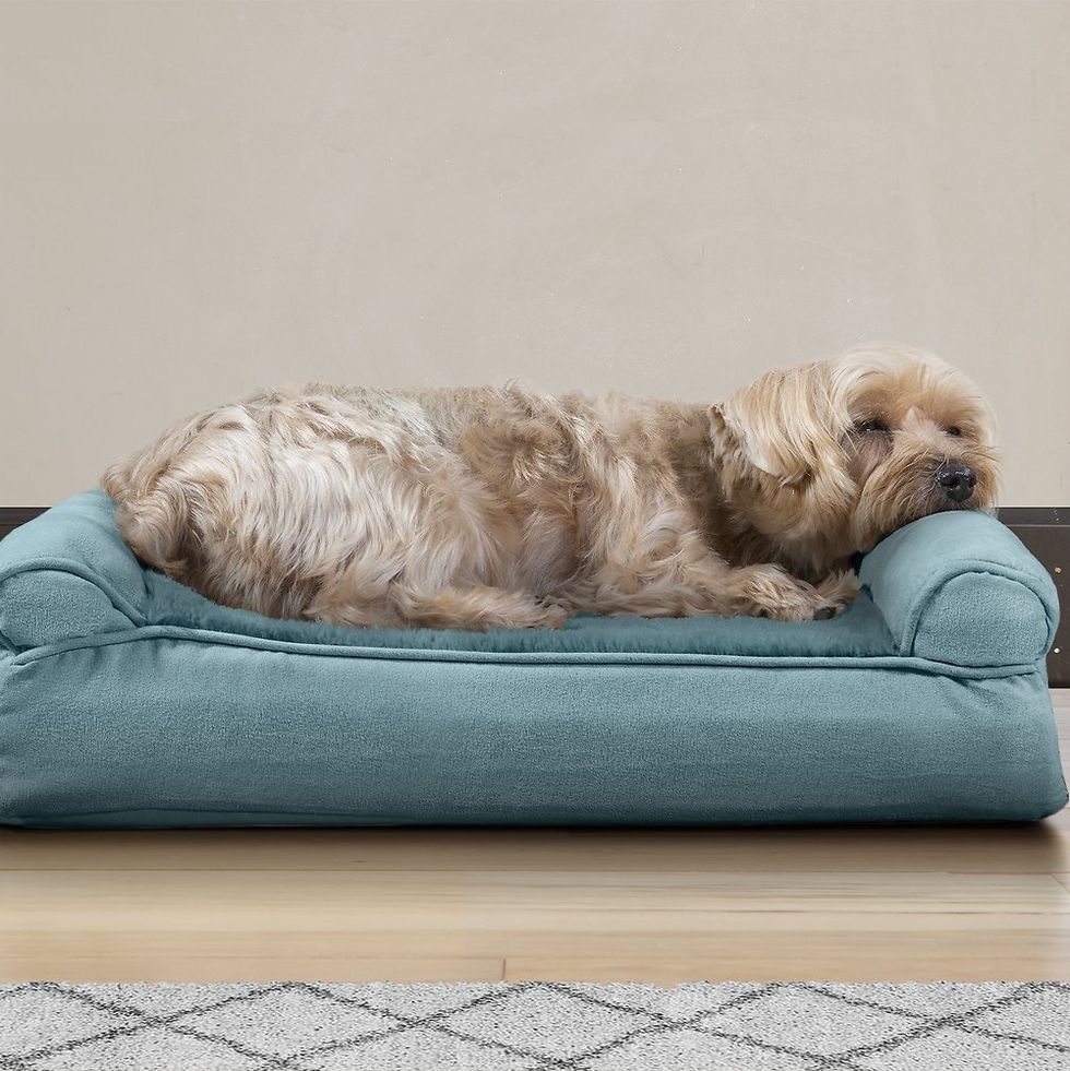 FurHaven Plush & Suede Memory Top Dog Bed