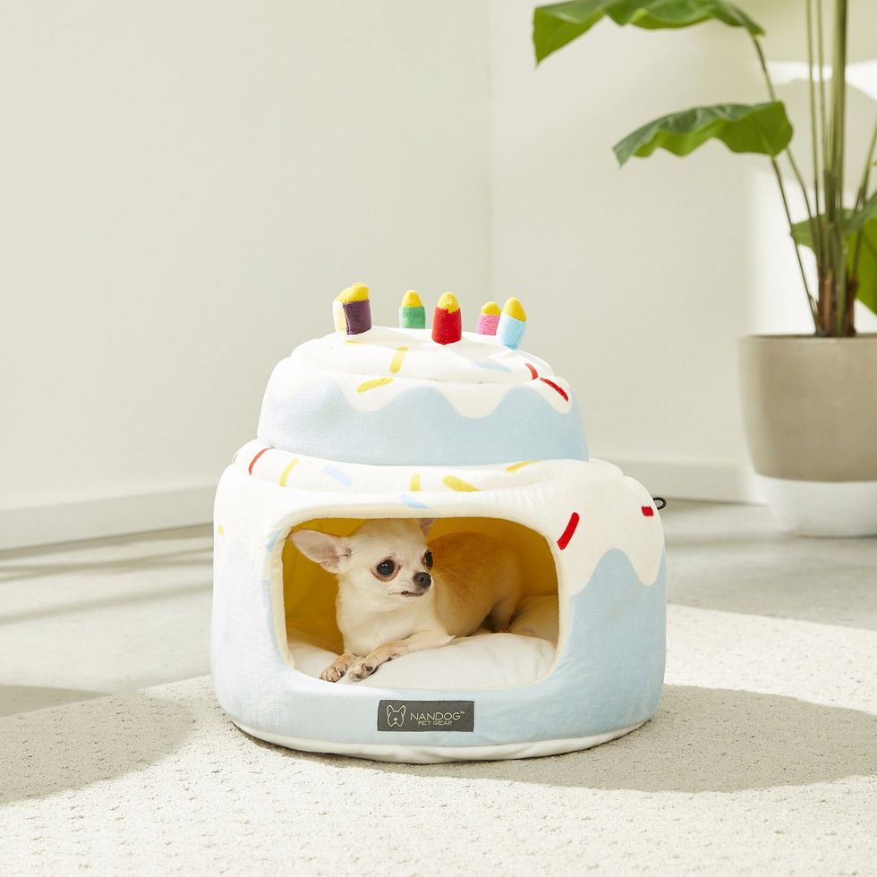 Nandog Cake Hut Covered Cat & Dog Bed