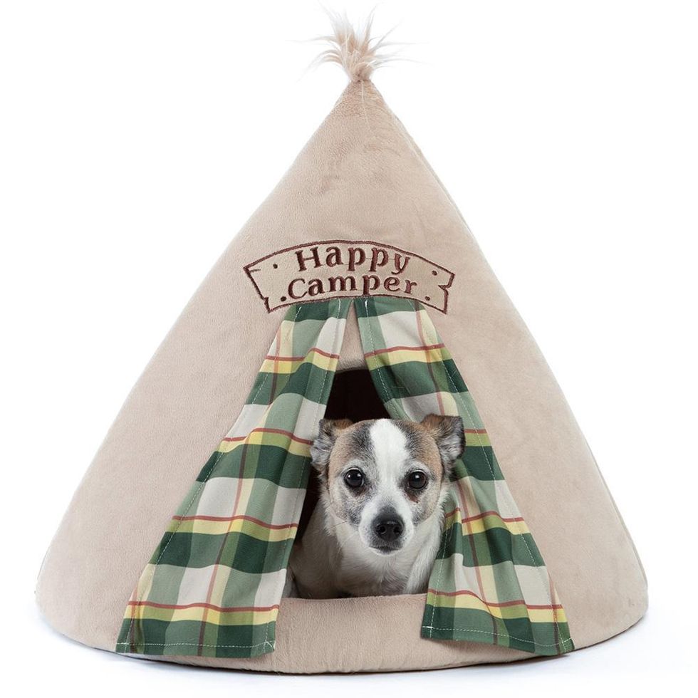 Happy Camper Novelty Pet Hut