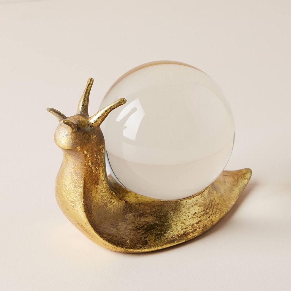 Snail Decorative Object